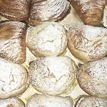 基亚亚216住宿加早餐旅馆 4* 那不勒斯